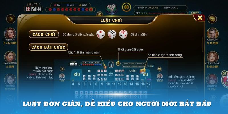 Luật đơn giản, dễ hiểu cho người mới bắt đầu