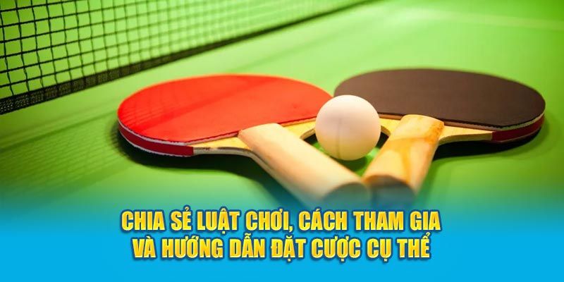 Luật lệ có trong cược bóng bàn bạn cần biết